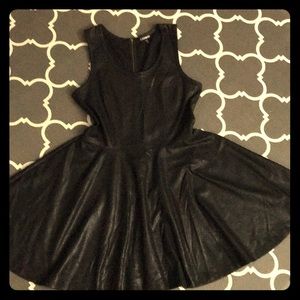 Express Skater Dress